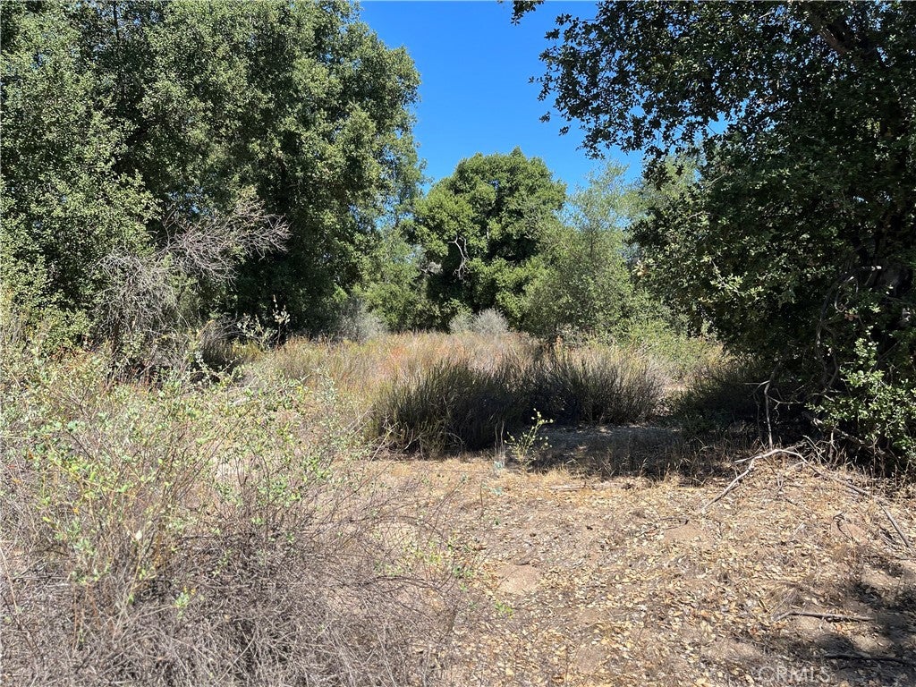 35010 Willow Creek Rd.