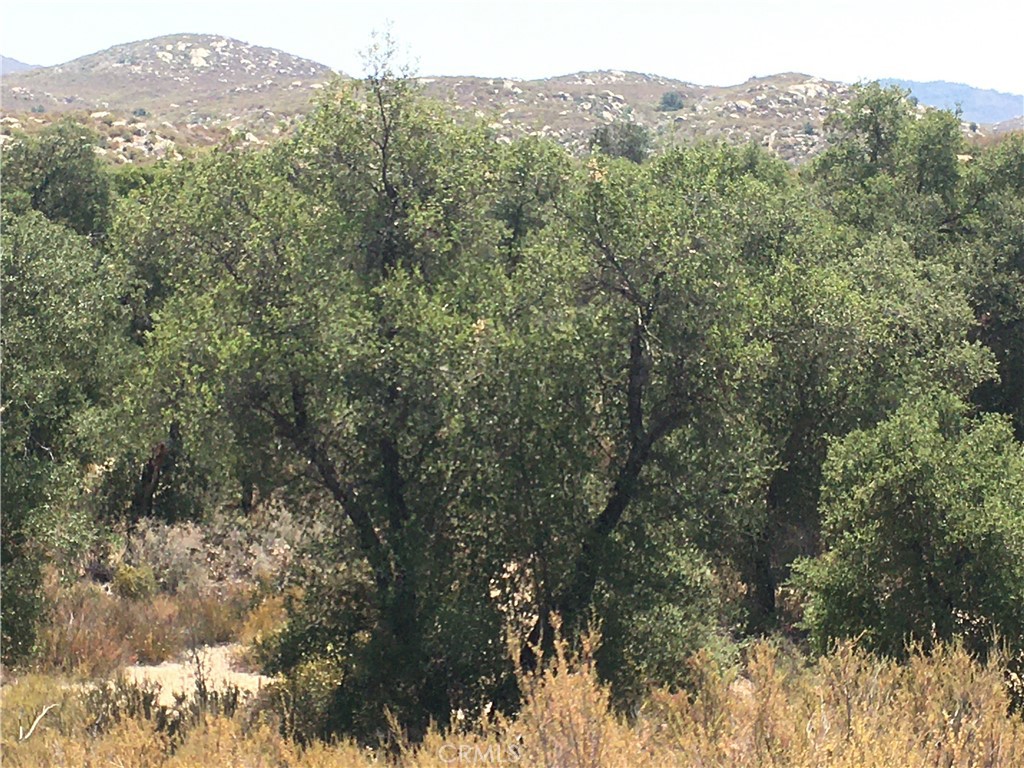 35010 Willow Creek Rd.