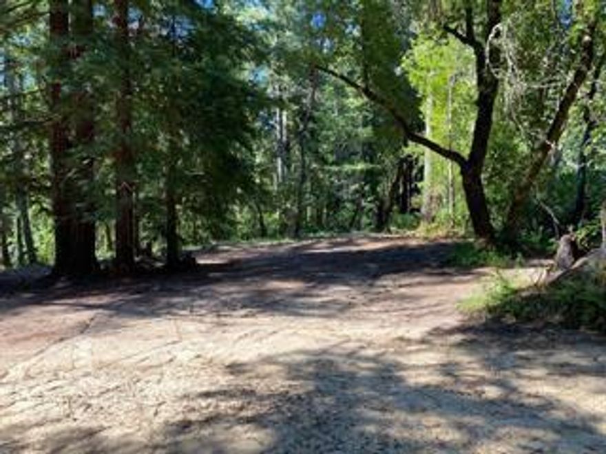 An unusual opportunity to have beautiful acreage right off the pavement. Assessors records show a cabin on the property that is no long there. Over eight and a half acres right on Bear Creek road only 3.5 miles from Boulder Creek. Featuring beautiful creek frontage below, with substantial flat open areas in sunshine and shade. Ancient logging road on the property runs parallel to bear creek road descending towards the creek. Many redwoods, madrone fir and oak. Barely a mile from Bear Creek Estates and the swim and tennis park. 20 minutes to hwy. 17 Build your dream home or Family compound ranch, close to everything.