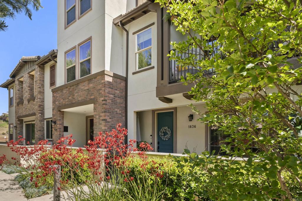1836 Mesquite