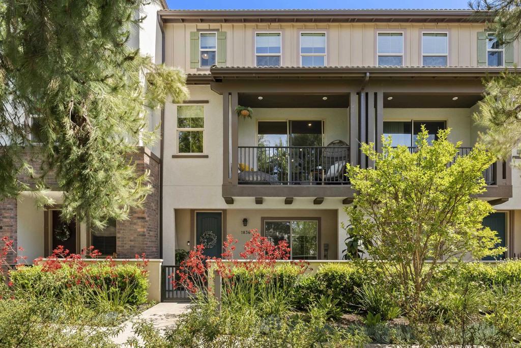 1836 Mesquite