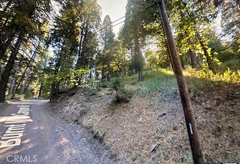 Photo of 0 Burnt Mill Canyon #20 Road, Cedarpines Park, CA 92322 (MLS # DW25087448) Photo of 0 Burnt Mill Canyon #20 Road, Cedarpines Park, CA 92322 (MLS # DW25087448)
