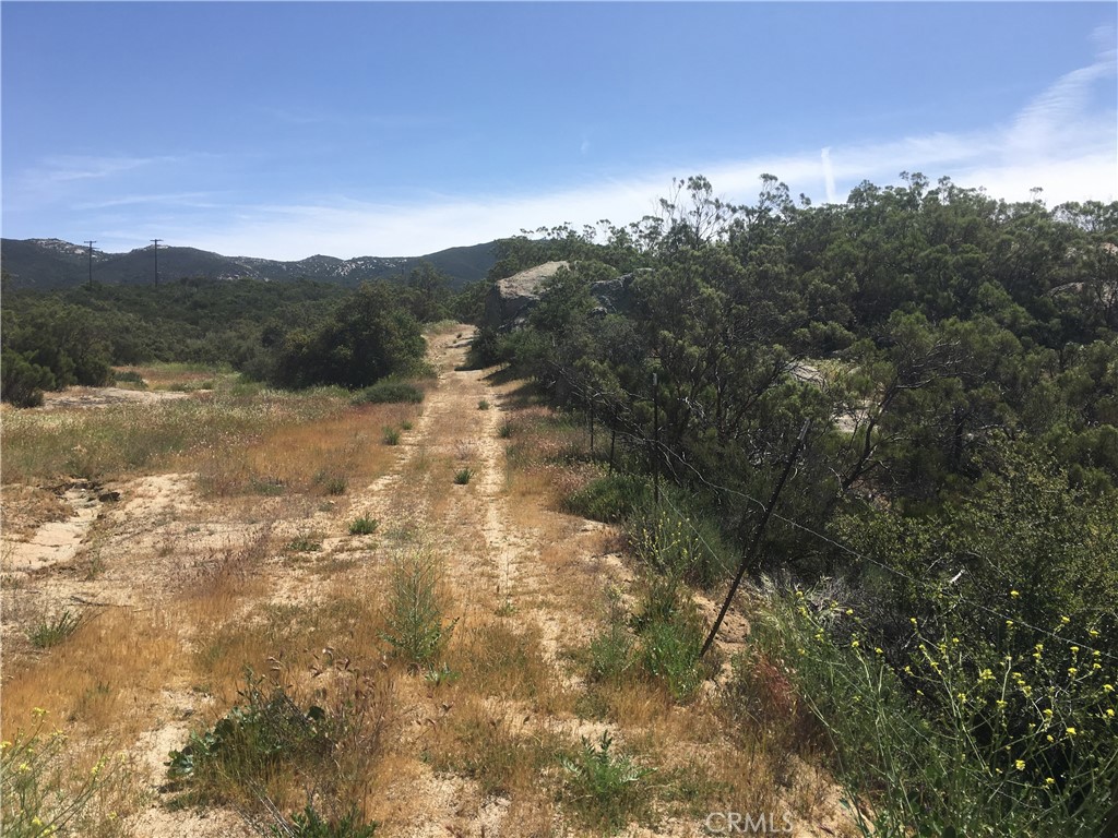 7 Willow Creek Road