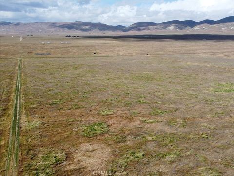 Tiny photo for 0 Beckworth Road, California Valley, CA 93453 (MLS # NS25145108)