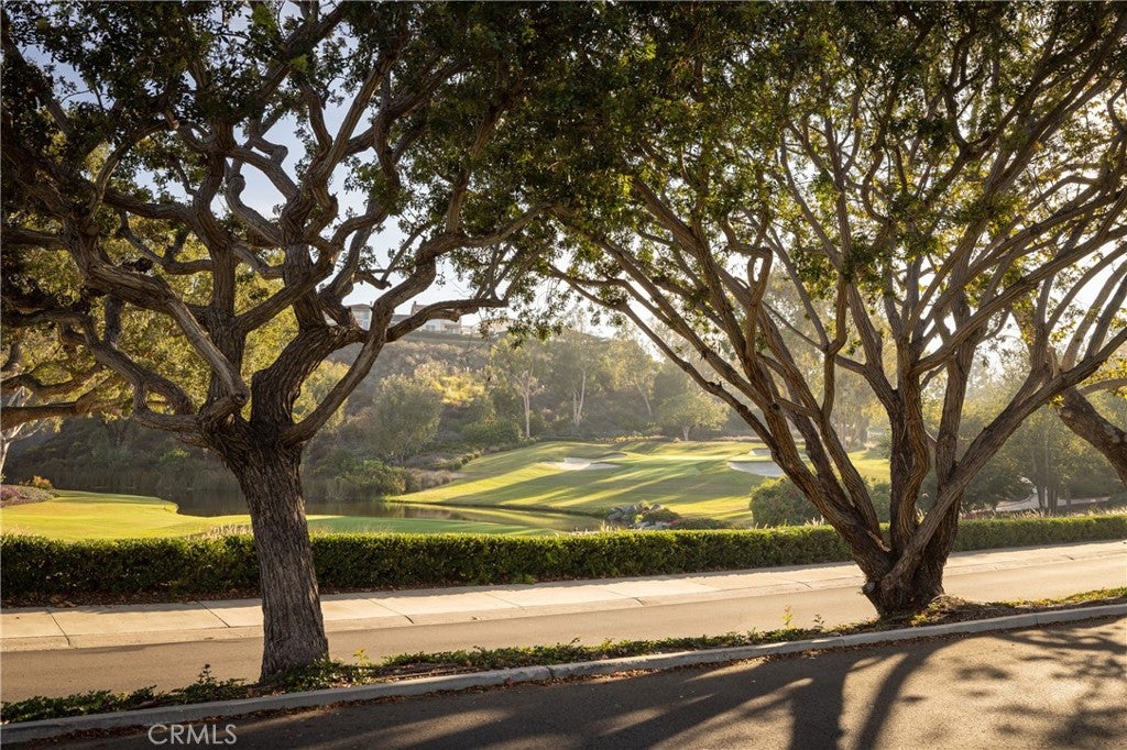 56 Royal Saint George Road, Newport Beach CA 92660 - Photo 47