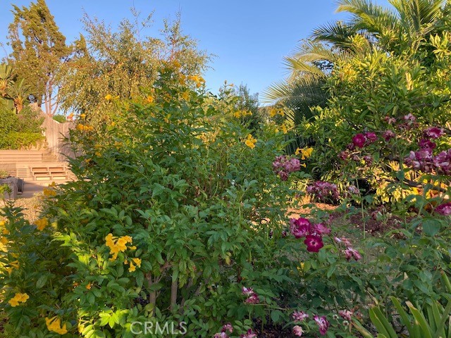 Niguel Hills (NH) - Residential Lease