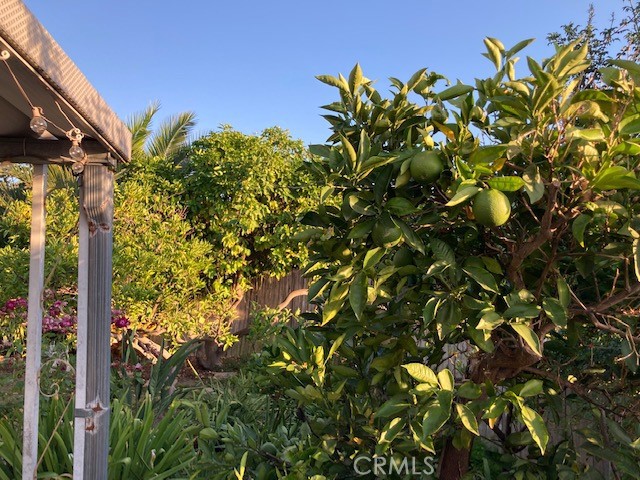 Niguel Hills (NH) - Residential Lease