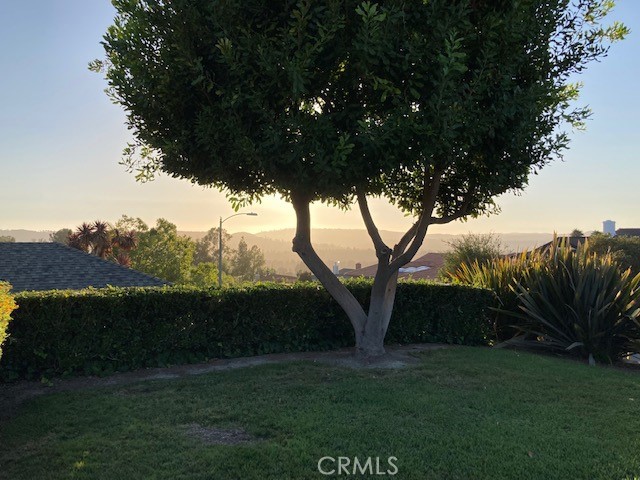 Niguel Hills (NH) - Residential Lease