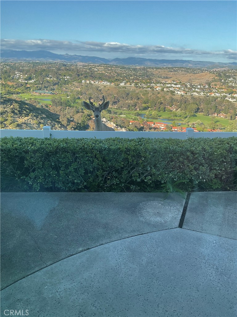 31422 Flying Cloud Drive