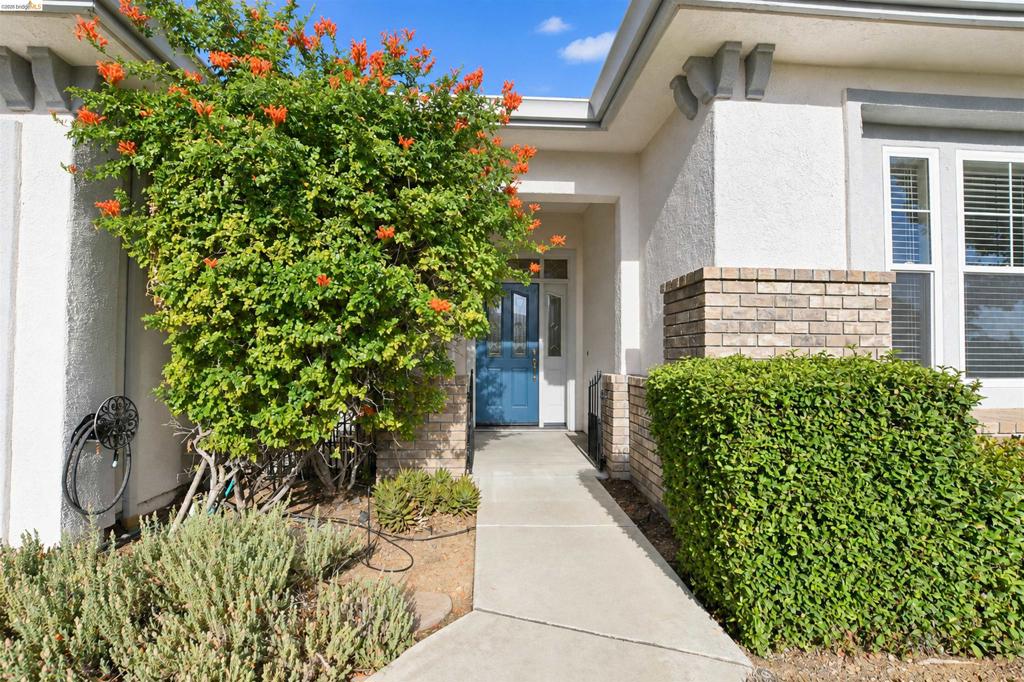 1587 Regent Dr