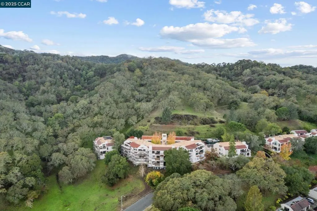 Walnut Creek, California 94595, United States, 2 Bedrooms Bedrooms, ,2 BathroomsBathrooms,Residential,Active,247387