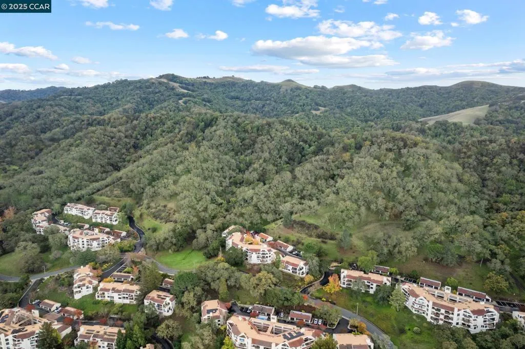 Walnut Creek, California 94595, United States, 2 Bedrooms Bedrooms, ,2 BathroomsBathrooms,Residential,Active,247387