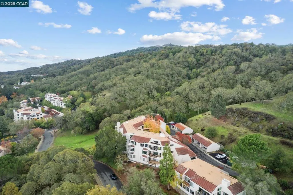 Walnut Creek, California 94595, United States, 2 Bedrooms Bedrooms, ,2 BathroomsBathrooms,Residential,Active,247387