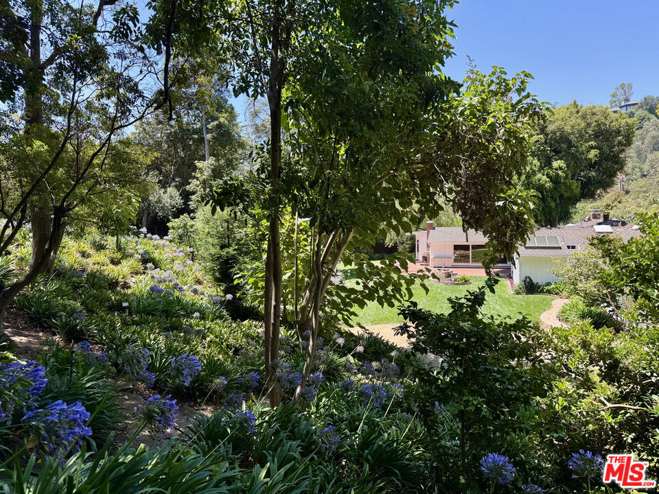 Lower Mandeville - Residential