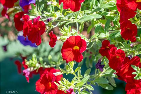 Tiny photo for 960 Wigeon Way, Arroyo Grande, CA 93420 (MLS # PI26059997)