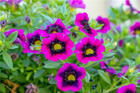 Tiny photo for 960 Wigeon Way, Arroyo Grande, CA 93420 (MLS # PI26059997)