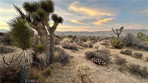 Photo of 55370 Bunny Road, Yucca Valley, CA 92284 (MLS # JT26022536)