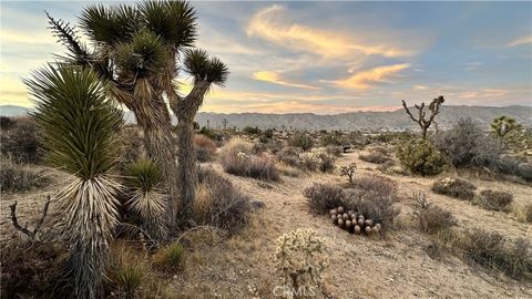 Photo of 55370 Bunny Road, Yucca Valley, CA 92284 (MLS # JT26022536)