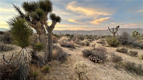 Photo of 55370 Bunny Road, Yucca Valley, CA 92284 (MLS # JT26022536)