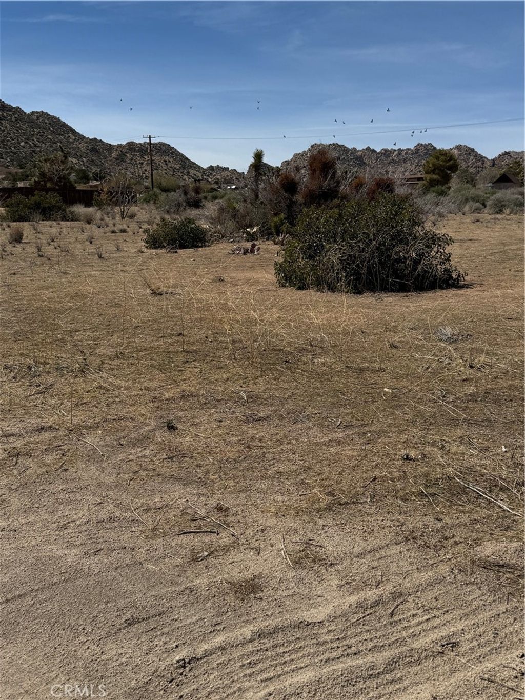 listing image 130723320892886533810