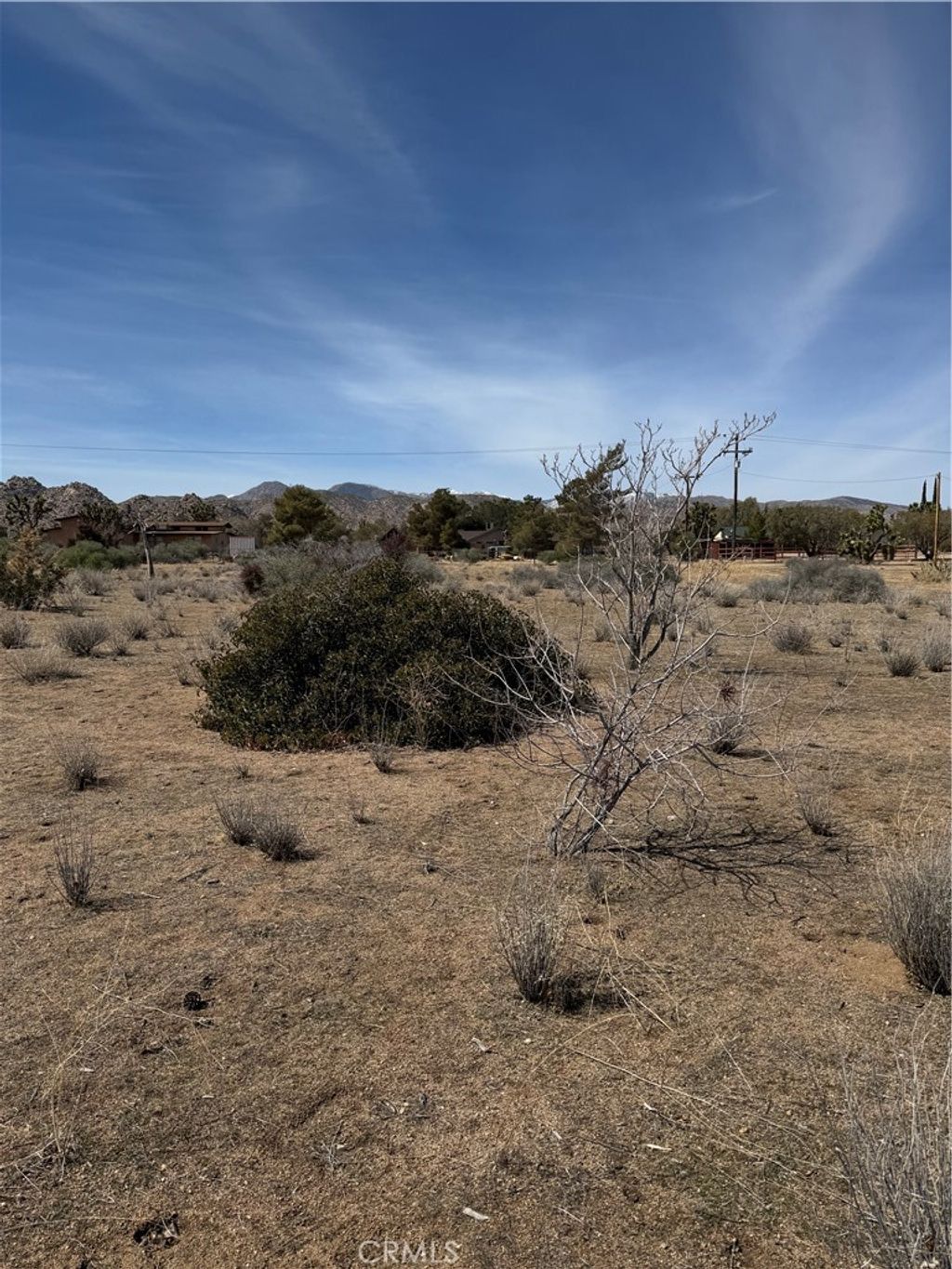listing image 130722467382190107264