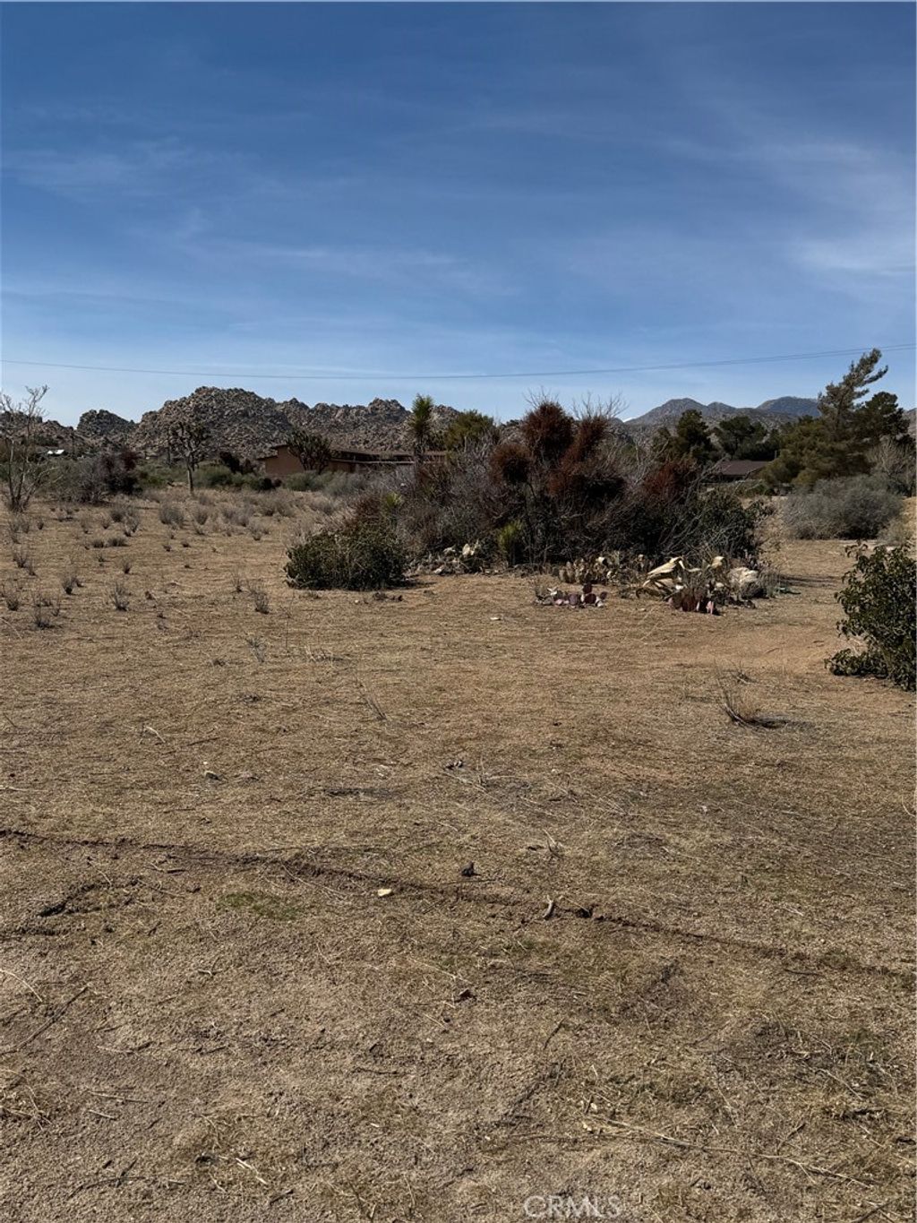 listing image 130727029369219224010