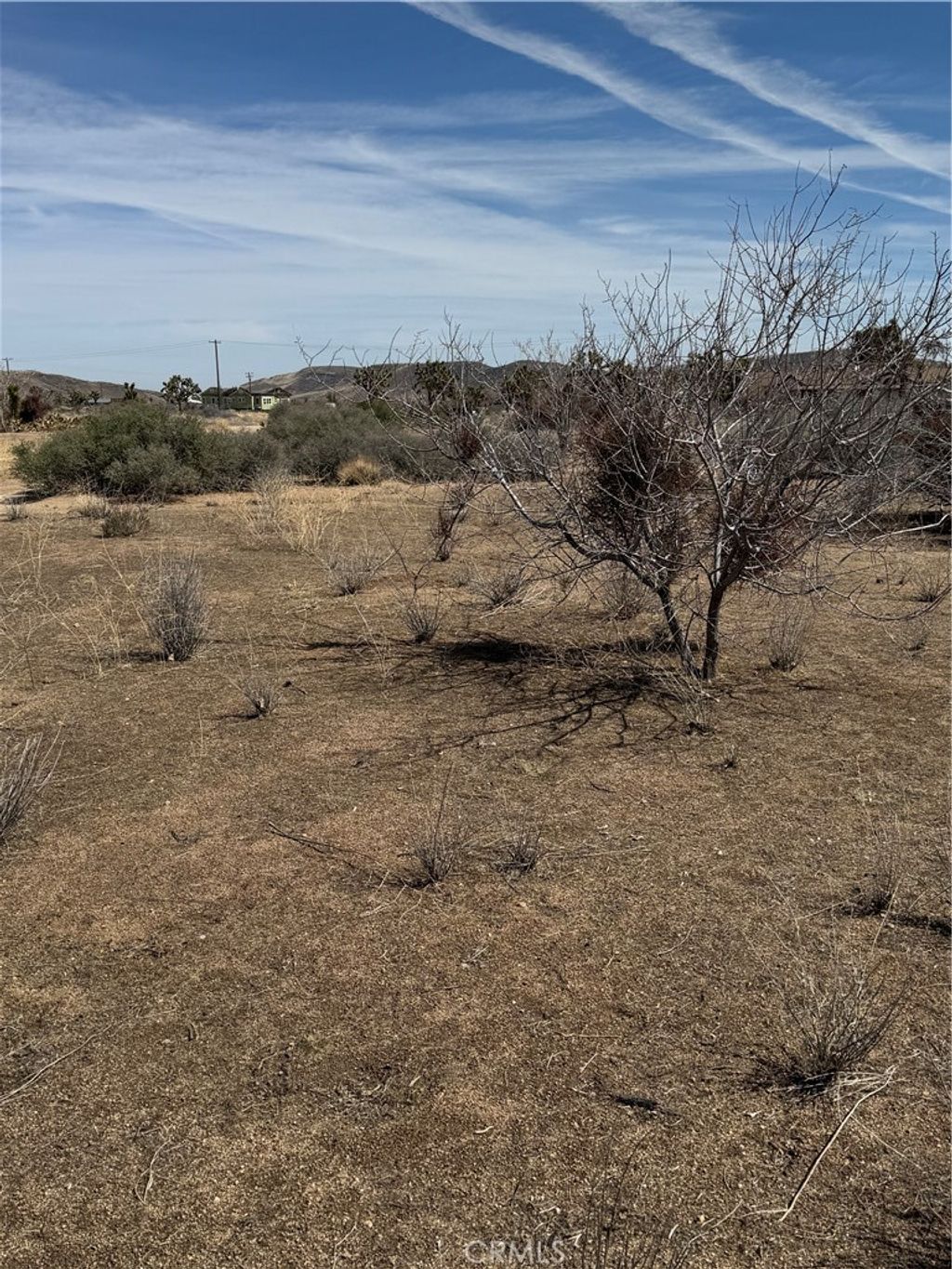 listing image 130724320972776883314