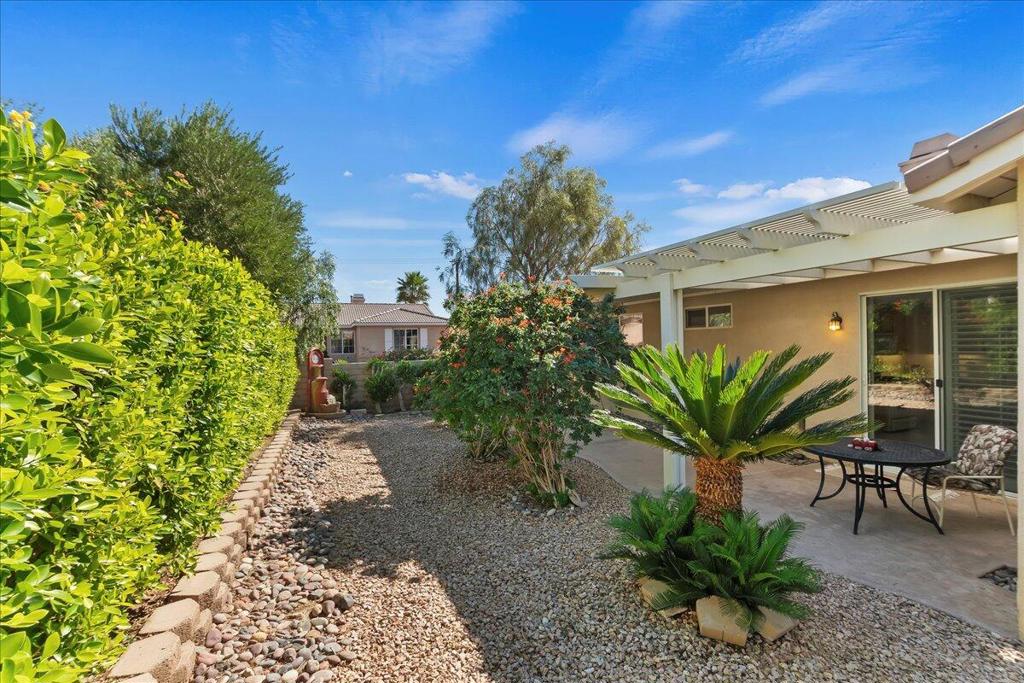 Desert Willow - Residential