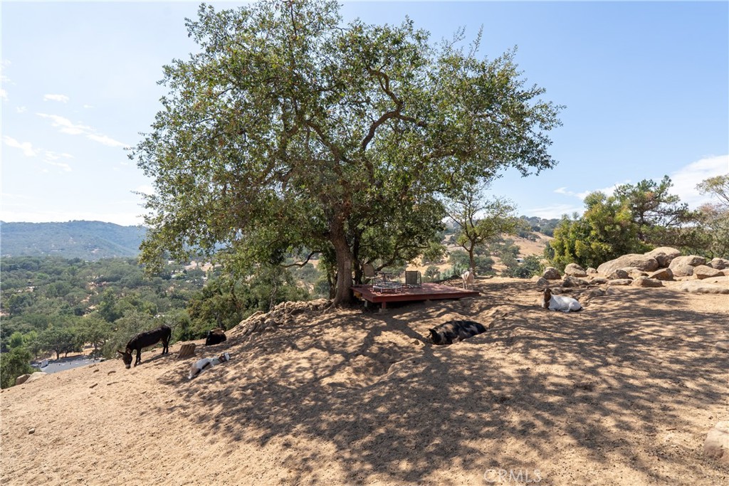 ATNorthwest(20) - Residential
