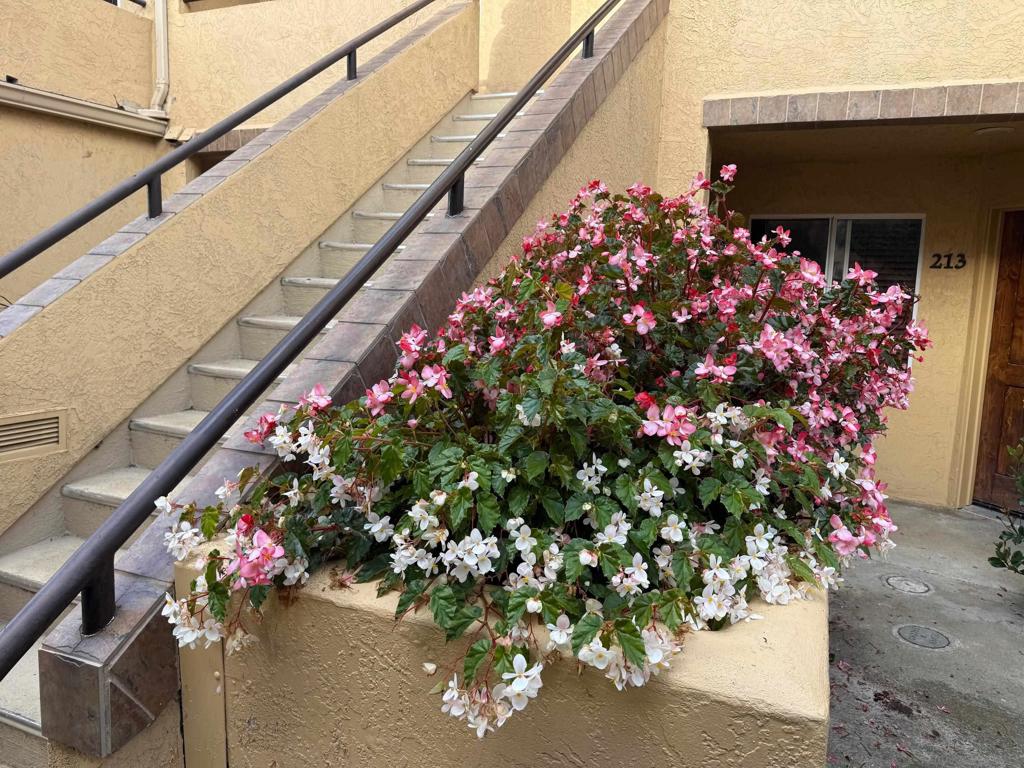 University City - Residential Lease