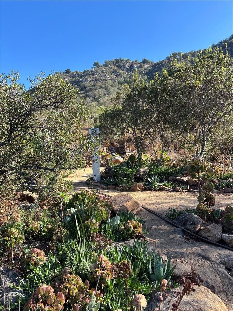 14549 Woods Valley