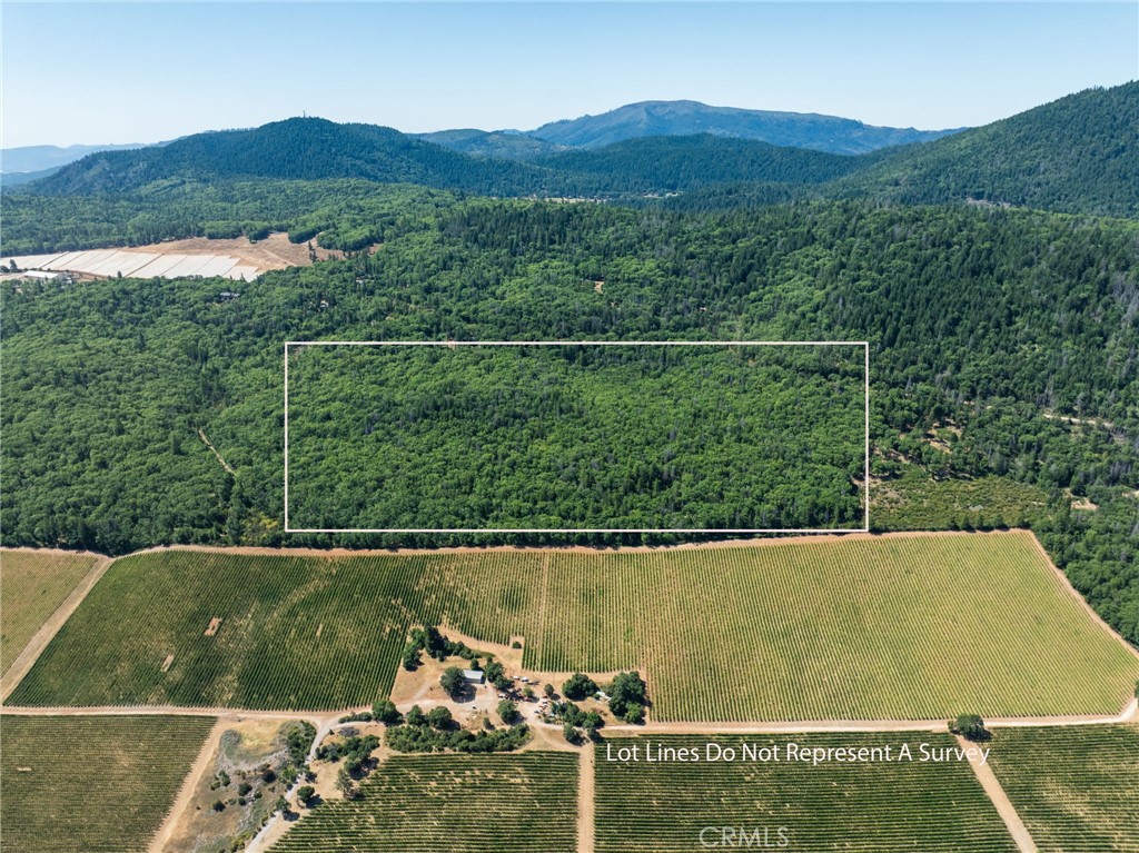 9600 Seigler Springs North Road