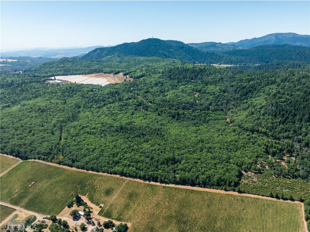 9600 Seigler Springs North Road