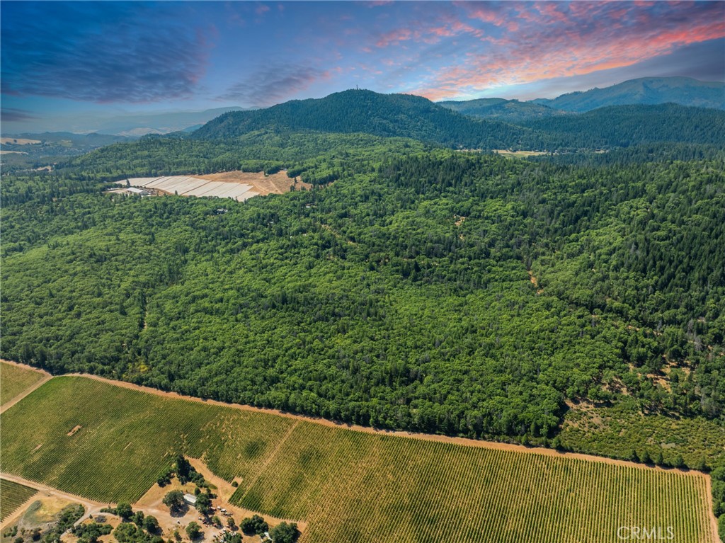 9600 Seigler Springs North Road