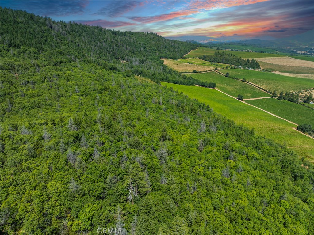 9600 Seigler Springs North Road