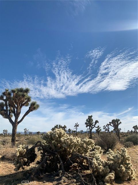 Photo of 57816 Pajara Road, Yucca Valley, CA 92284 (MLS # JT25060296)