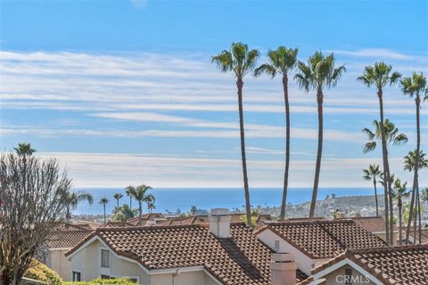33541 spin drift court dana point ca 92629