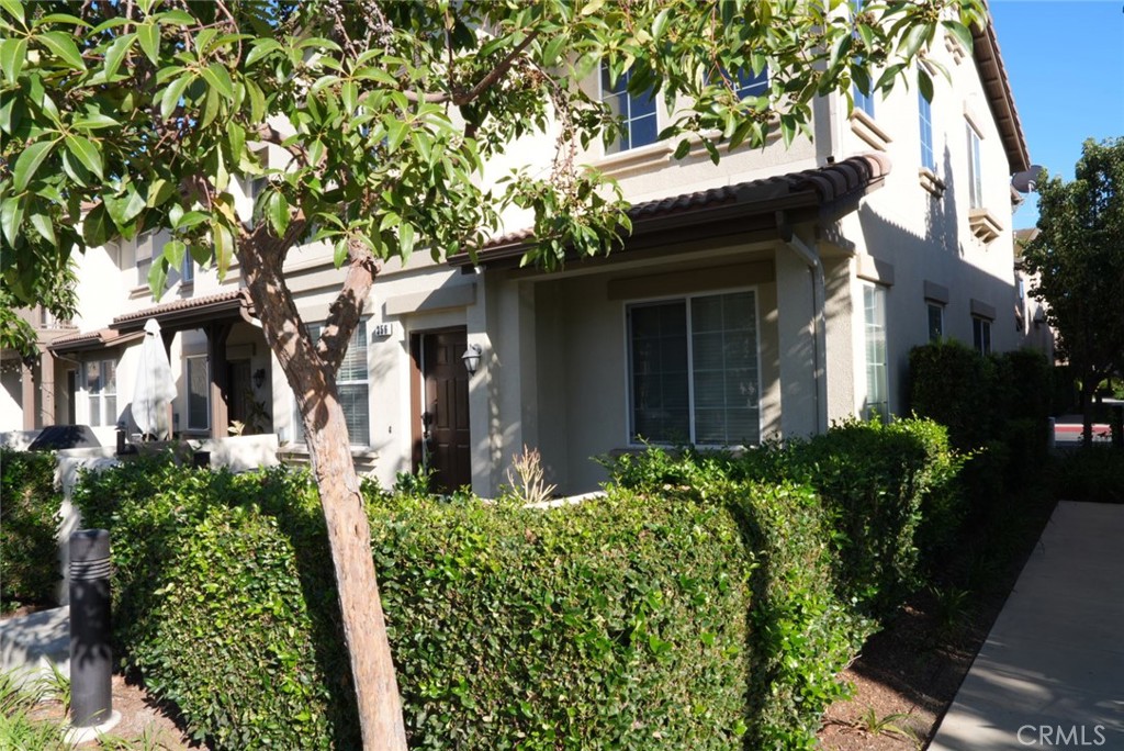 356 W Mountain Holly