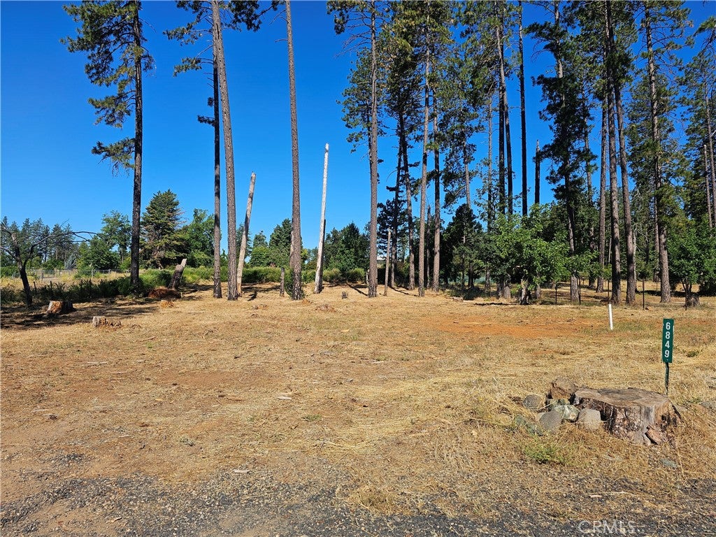 6849 Clark Rd Road