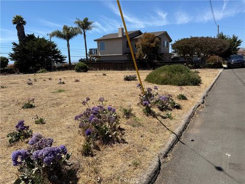 Tiny photo for 2900 Alder Avenue, Morro Bay, CA 93442 (MLS # SC25174626)