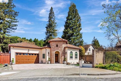 Photo of 35970 Vivian Pl Pl, Fremont, CA 94536 (MLS # 41131990)