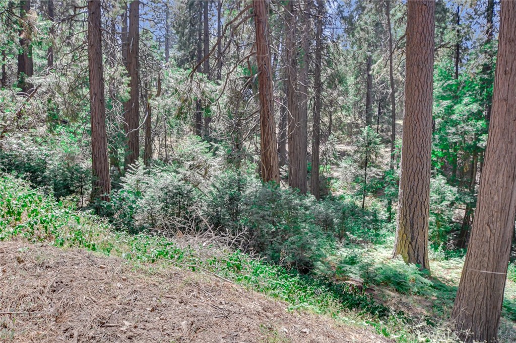 Crestline (CRES) - Land