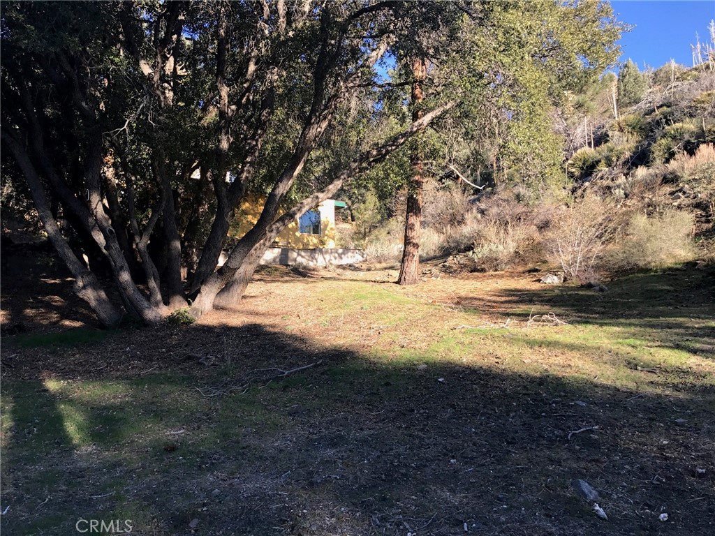 5774 Acorn Drive