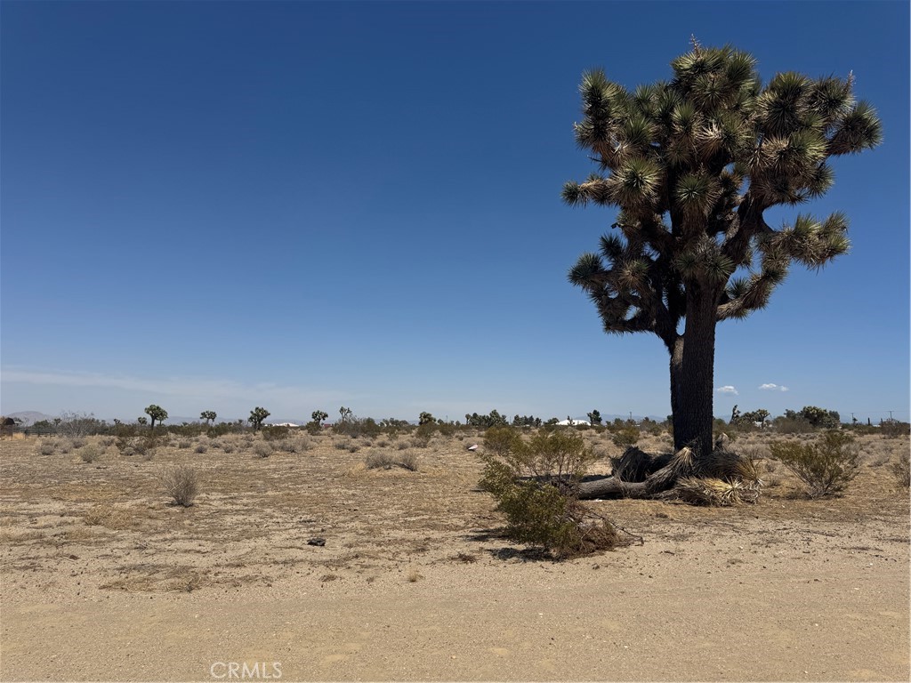 0 Centola Road