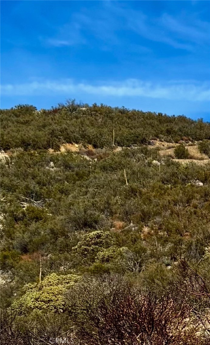 This 2.65 acre vacant lot has end of road privacy. Property slopes up from the road with an old mobile home pad and a great view south. Nice views of the back side of Palomar Mountain, Cahuilla Mountain. Not far from Highway 371. Approximately 35 minutes to Temecula and 45 minutes to Palm Desert.
Freshen up the old driveway and the old pad and bring your camper for a nice family getaway. Approved for Manufactured homes as well as custom homes. Beautiful starry nights.