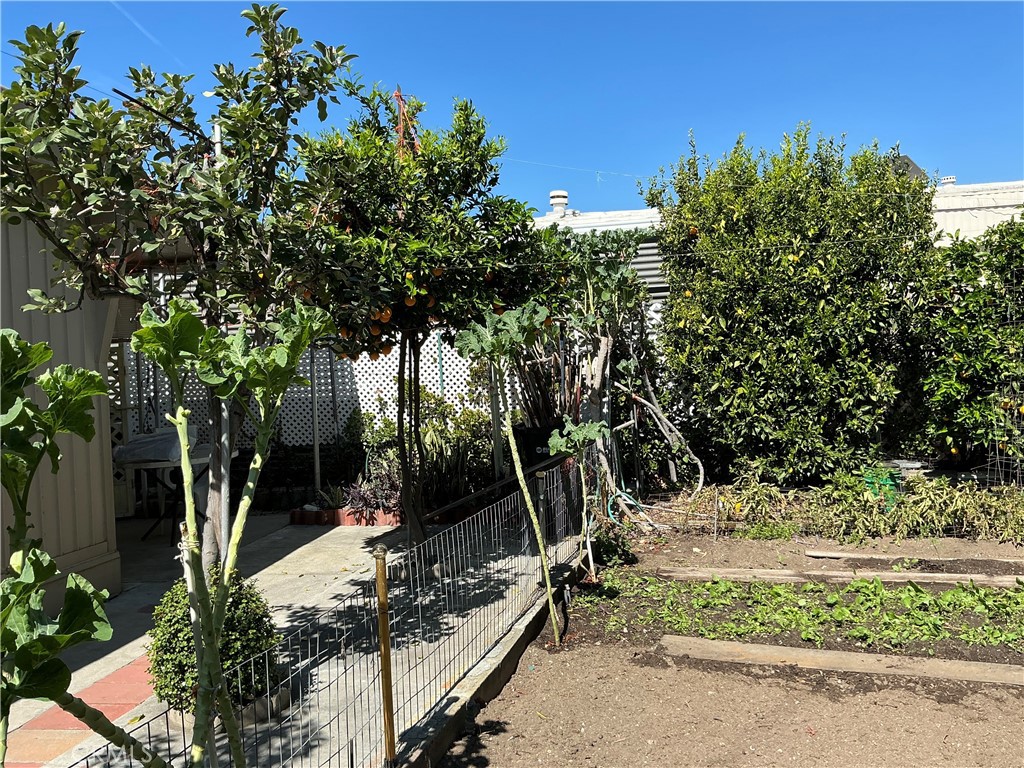 1515 W Arrow Highway