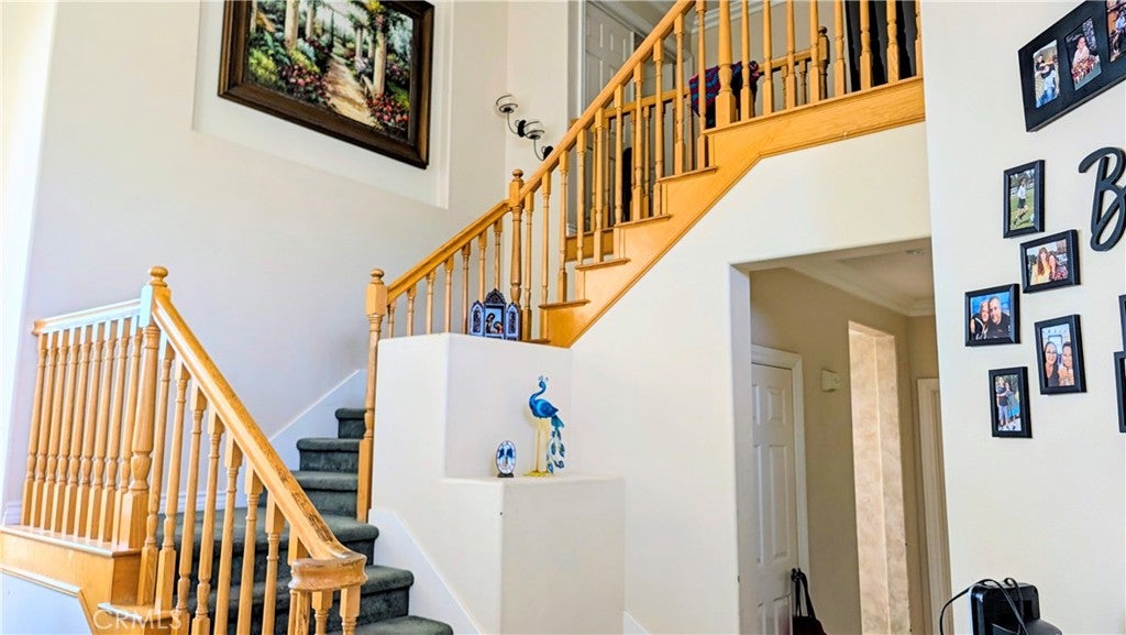 Properties 1 29617 Mammoth