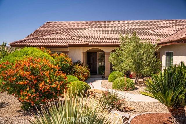 56136 Mountain View