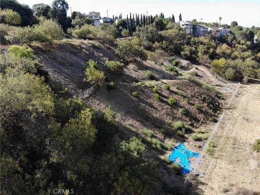 2105 MOSS AVE, LOS ANGELES, CA 90065 - Image dc95d9fa6d621edf08a089a9b62390da/4029518231