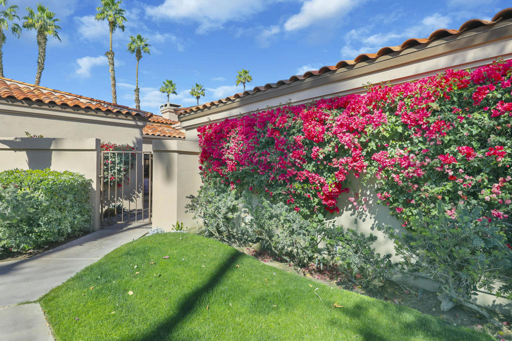 38921 Wisteria Drive